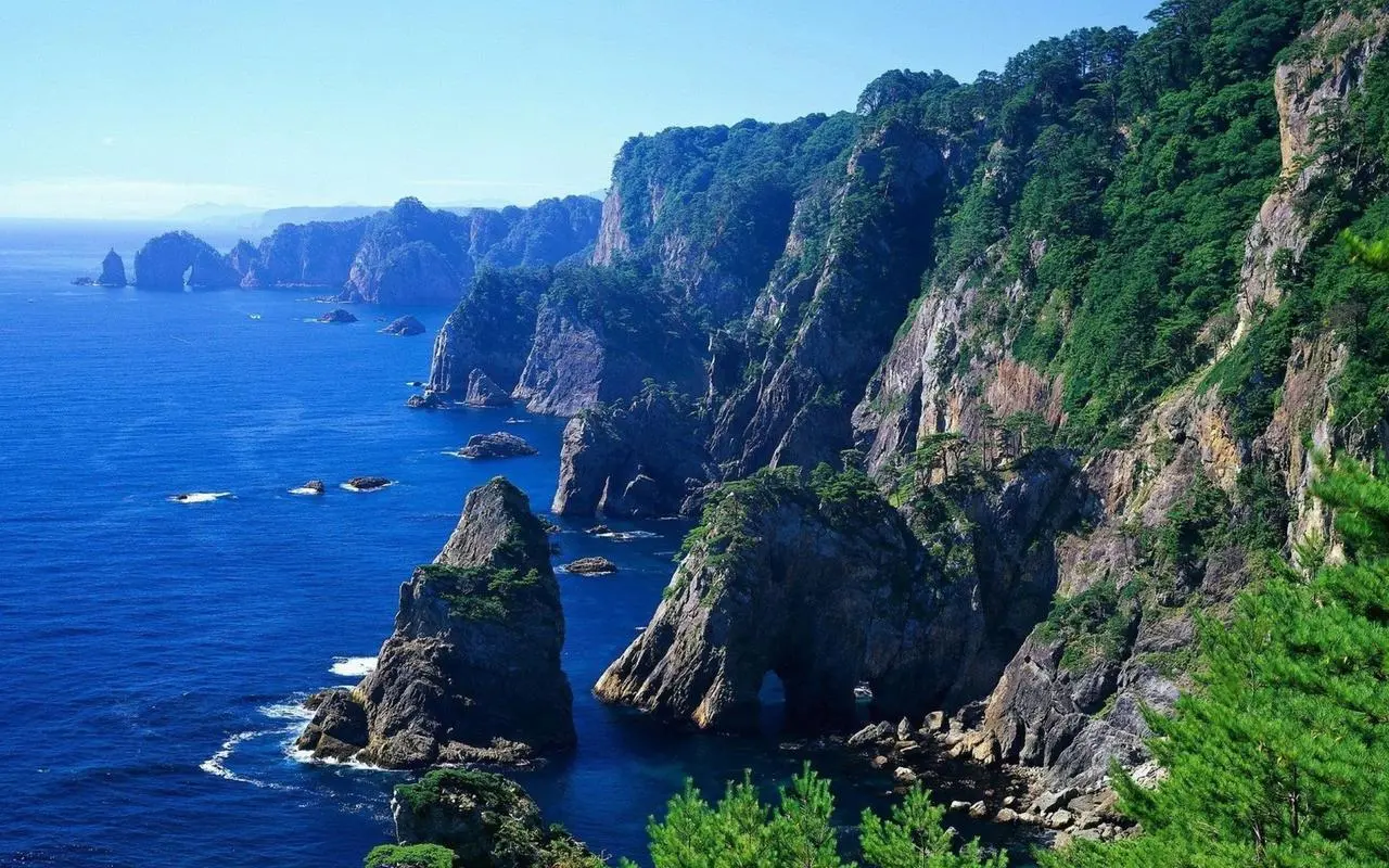 高标准高标准